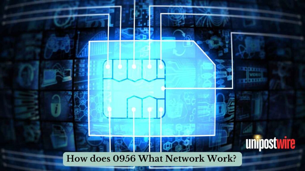 How does 0956 What Network Work? 