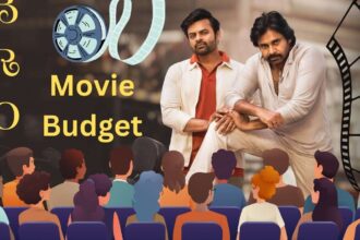 Bro Movie Budget